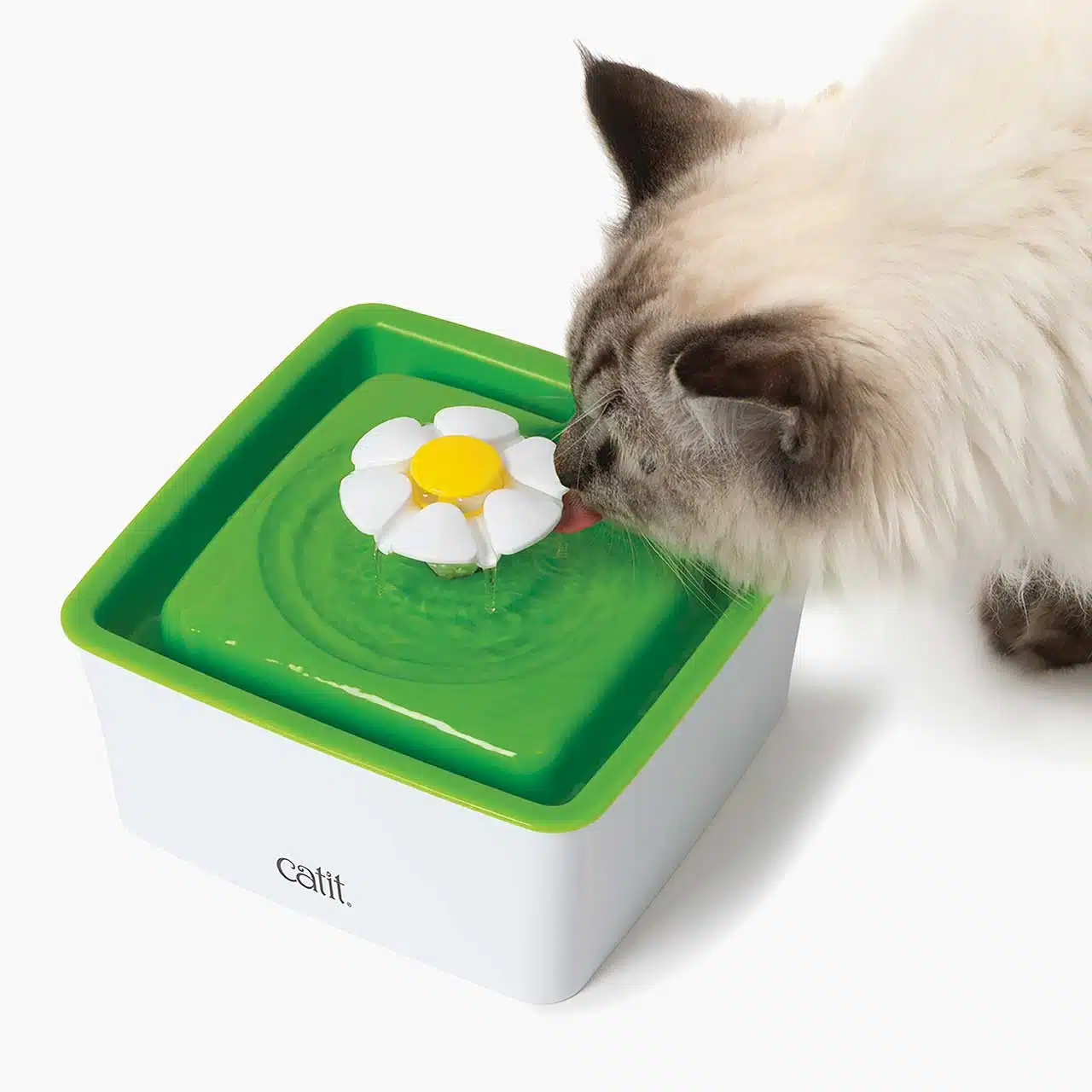 Catit 2.0 Mini Flower Fountain, 1.5L