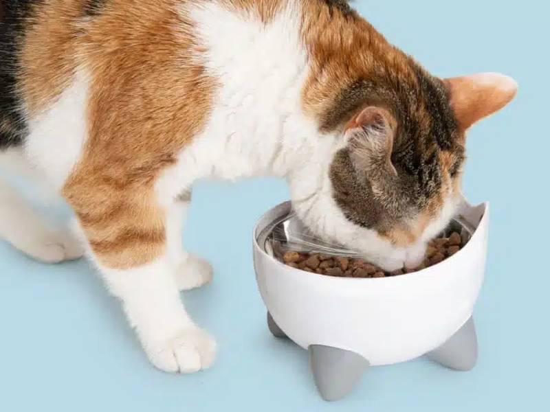CATIT PIXI ELEVATED FEEDING DISH, WHITE